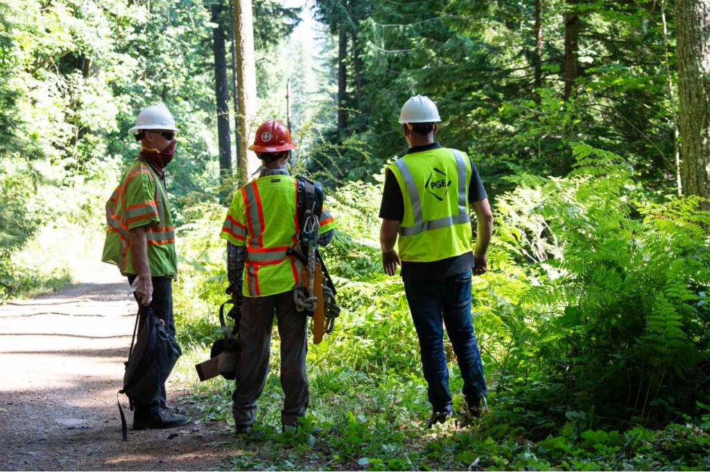 tree cutting service