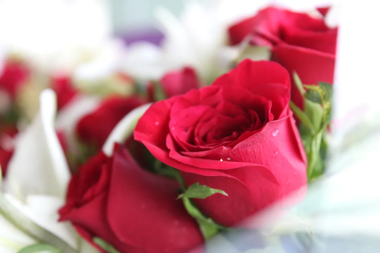 Romantic Valentine's Day Flowers to Woo Your Loved One