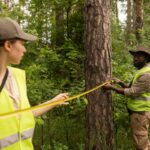 How to Choose the Right Tree Loppers Near Me for the Job
