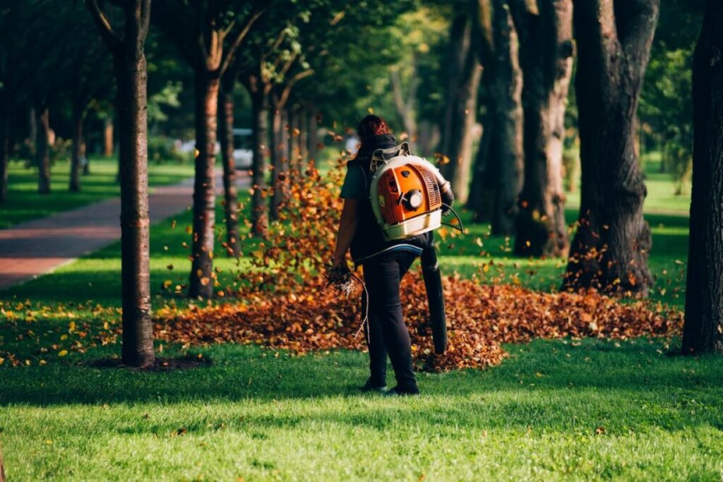 sydney tree removal