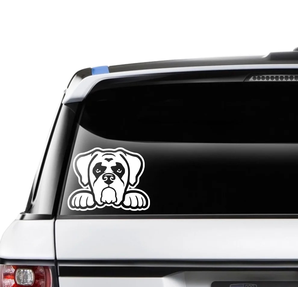 custom car decals australia